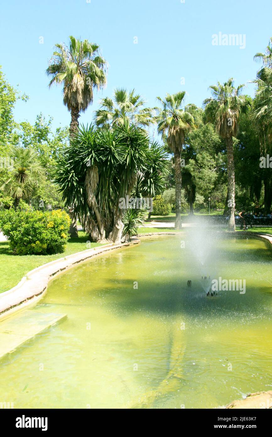 Spazieren Sie durch die Gassen der Parks von Valencia Stockfoto
