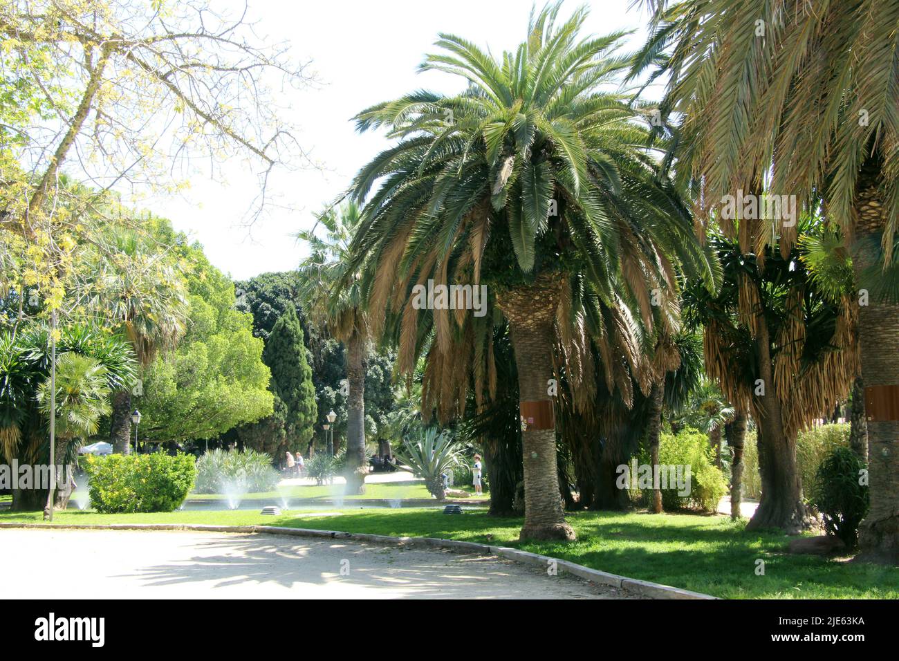 Spazieren Sie durch die Gassen der Parks von Valencia Stockfoto