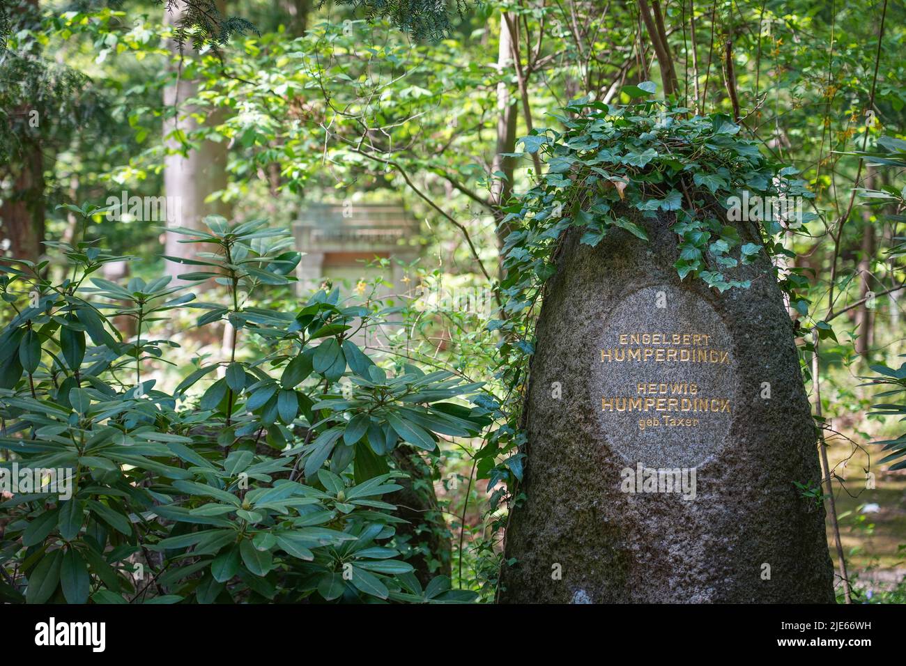 Stahnsdorf, Deutschland. 02.. Mai 2022. Grabstein von Engelbert Humperdinck und seiner Frau Hedwig Humperdinck im Südwestkirchhof der Berliner Stadtsynode. Der Friedhof südwestlich von Berlin ist mit über 200 Hektar der zweitgrößte in Deutschland. Aufgrund seines Waldcharakters und seiner vielen historischen Grabstätten ist der Südwestkirchhof ein beliebtes Touristenziel. Für die Erhaltung des kulturell und kunsthistorisch bedeutsamen Ortes wurde 2000 ein Förderverein gegründet. Quelle: Soeren Stache/dpa/ZB/dpa/Alamy Live News Stockfoto