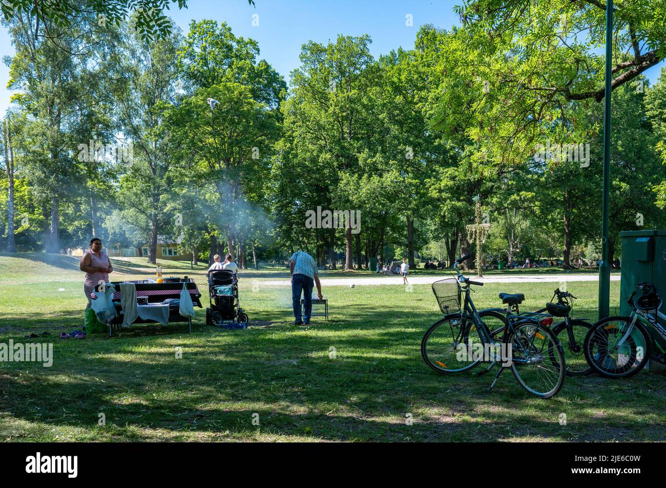 Die Leute genießen ein Picknick-Barbecue auf einem ungewöhnlich warmen und sonnigen Mittsommerurlaub im Stadtpark Folkparken in Norrköping, Schweden Stockfoto