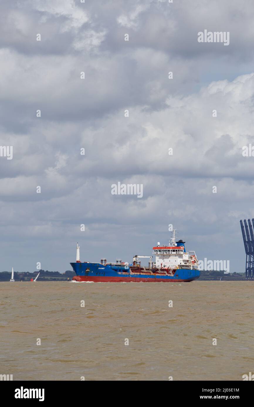 Der Tanker Pavino verlässt Harwich Haven auf dem Weg nach Rotterdam. Stockfoto