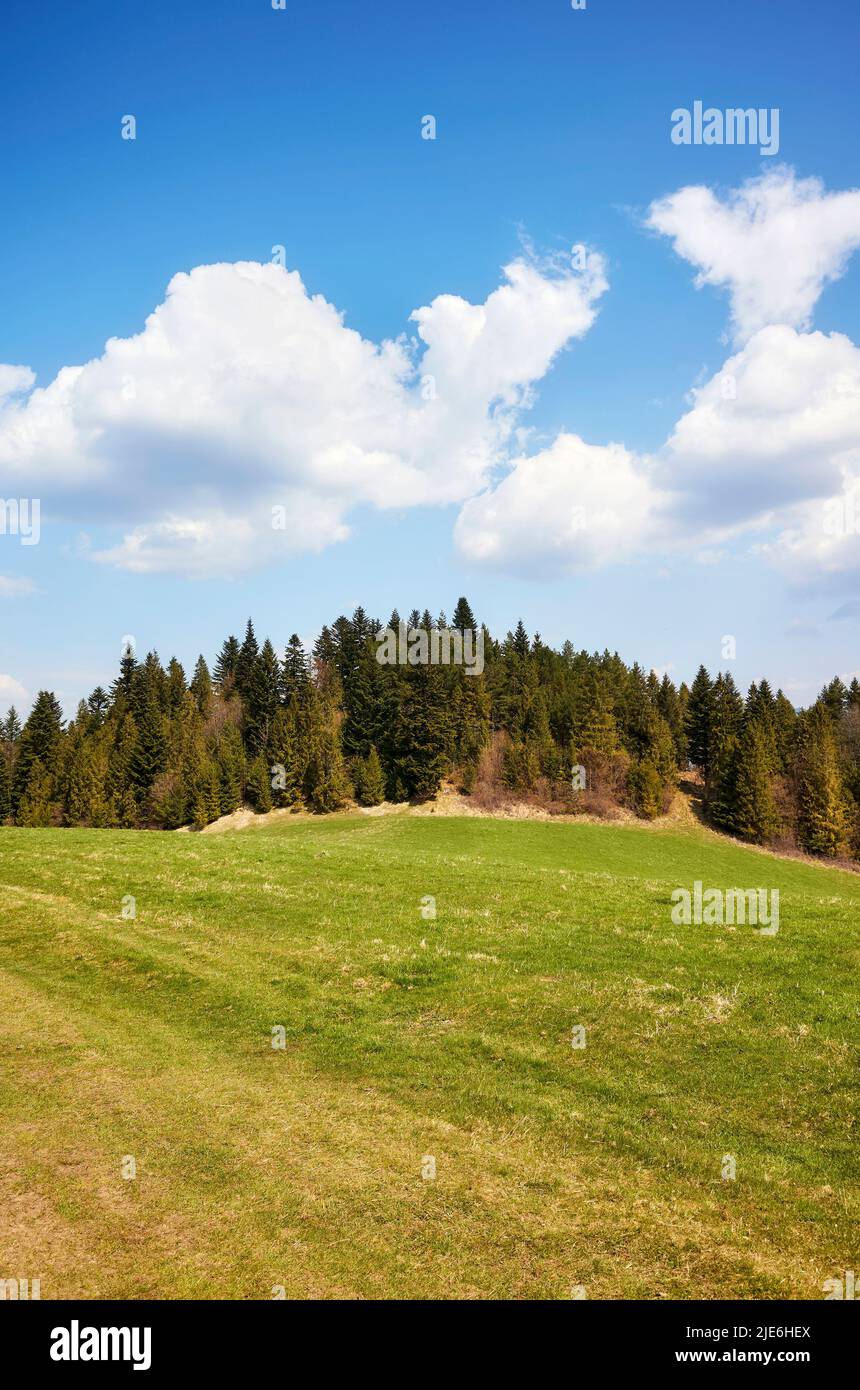 Berglandschaft an einem sonnigen Tag, Pienin-Gebirge, Polen. Stockfoto