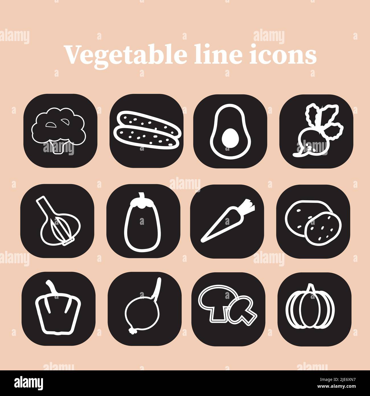 Symbole für Gemüselinie. Sammlung von Gemüse-Ikonen auf den schwarzen Aufklebern. Vektor-Illustration.gesundes Lebensmittelkonzept. Stock Vektor
