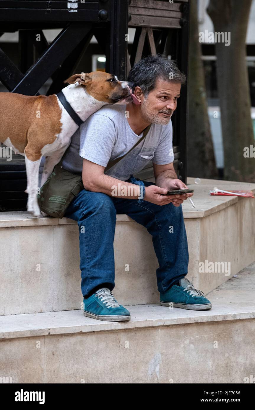 In Lissabon, Portugal, bekommt der Mann einen Leck von seinem Hund Stockfoto