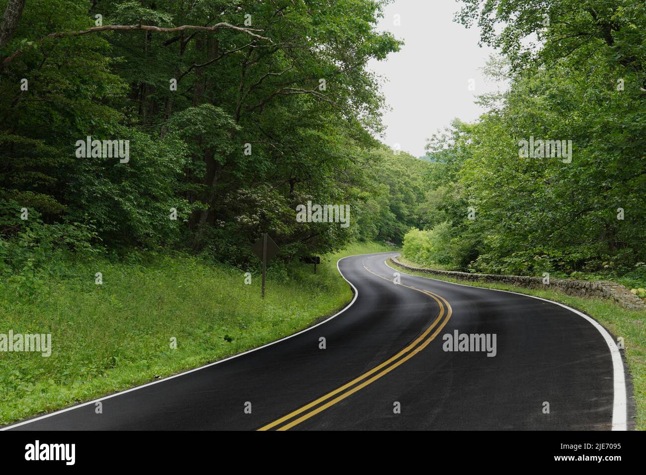 Kurve auf der Straße durch den Shenandoah Nationalpark auf dem Skyline Drive Stockfoto