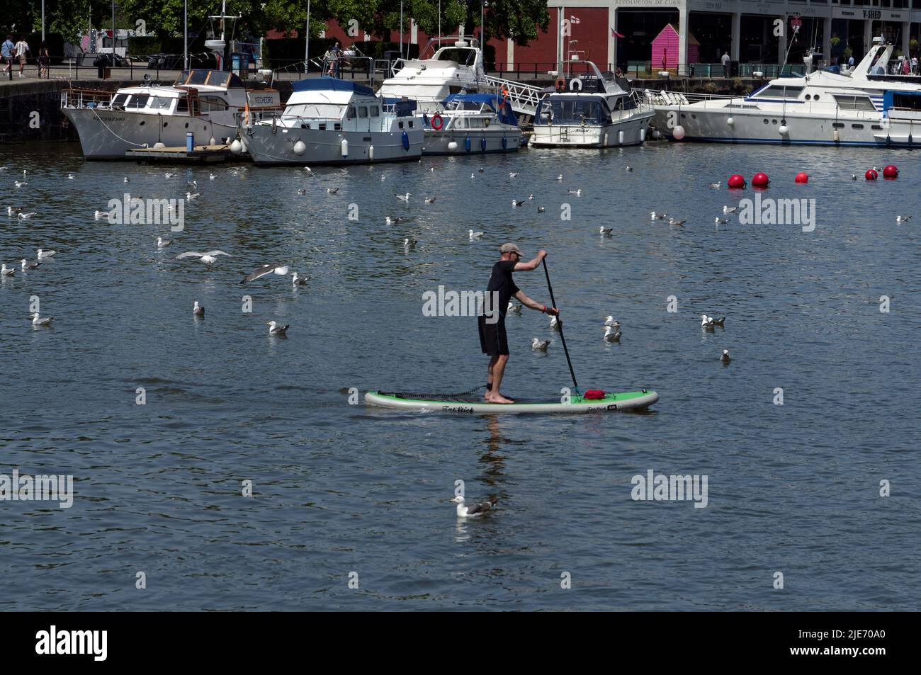 Stand Up Paddle Boarder, Bristol Dock, Sommer 2022, Personal Trainer, Szenen im Stadtzentrum von Bristol, Sommer 2022 Stockfoto