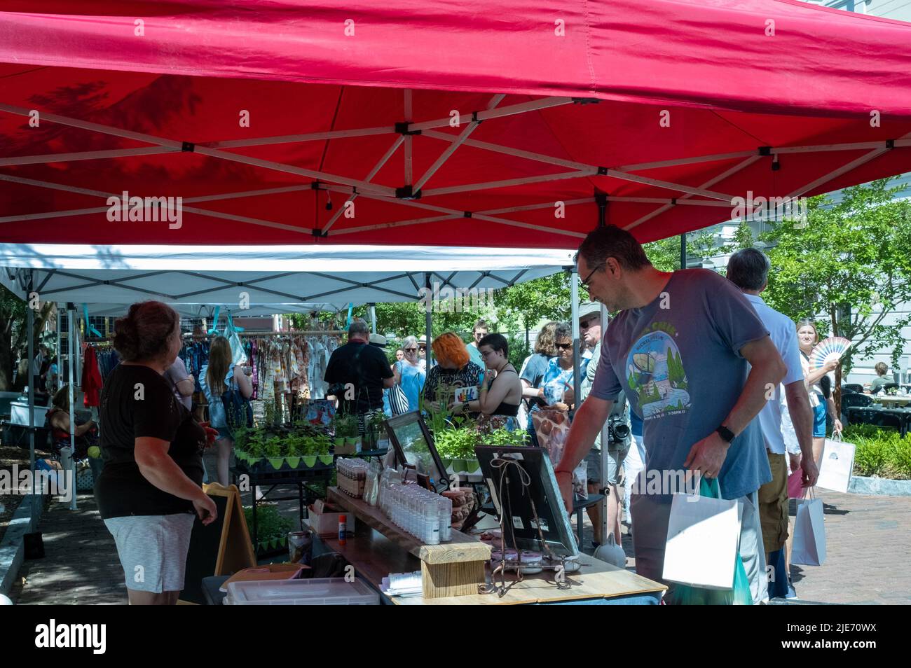 Der Sommer bietet eine Vielzahl von Optionen für Touristen und Einwohner wie Charleston, South Carolina, wie zum Beispiel den Farmer's Market an Samstagen zu besuchen. Stockfoto