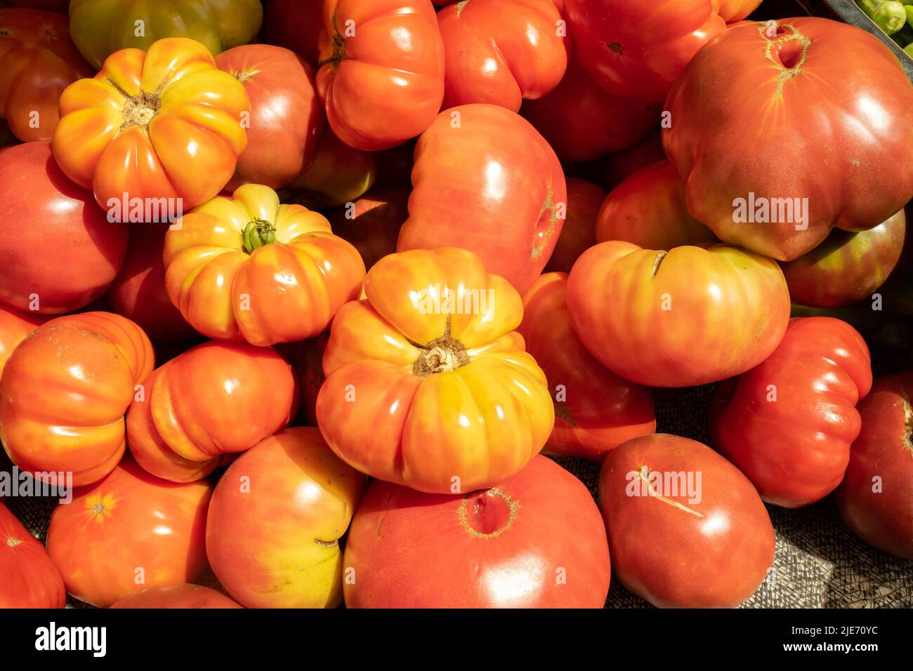 Der Sommer bietet eine Vielzahl von Optionen für Touristen und Einwohner wie Charleston, South Carolina, wie zum Beispiel den Farmer's Market an Samstagen zu besuchen. Stockfoto