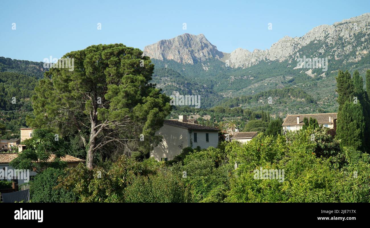 Blick auf Soller Mallorca mit Tramuntana Bergen im Hintergrund. Stockfoto