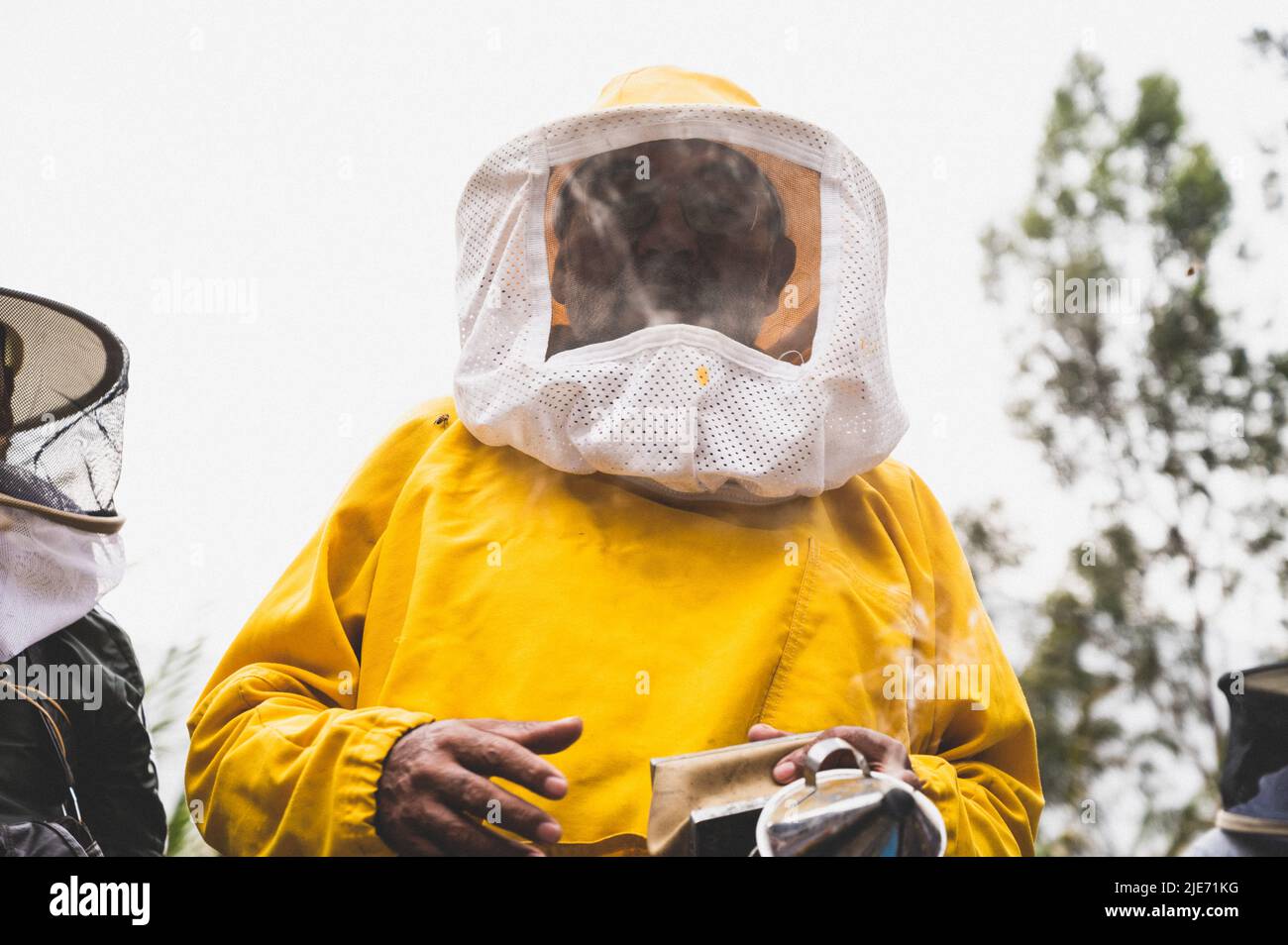 Ein Imker im Schutzanzug arbeitet mit Bienen. Ein Imker inspiziert hölzerne Bienenstöcke. Imkerei. Öko Bienenhaus in der Natur. Frischer natürlicher Honig Stockfoto