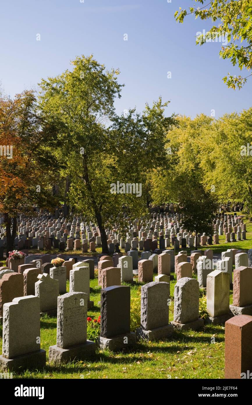 Grabsteinreihen auf dem Friedhof Notre-Dame-des-Neiges auf dem Mount Royal im Herbst, Montreal, Quebec, Kanada. Stockfoto