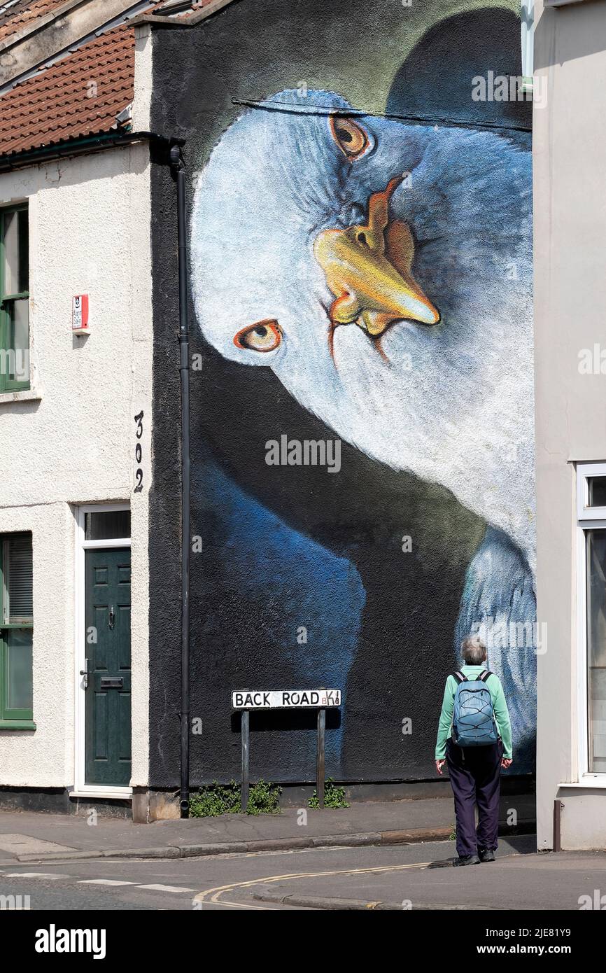 Ein großes Straßenkunstgemälde einer Möwe an der Seite eines Hauses in Bristol. Die Straßenkünstler Boe und Ironie arbeiteten zusammen, um die Kunstwerke für Upfest zu kreieren Stockfoto