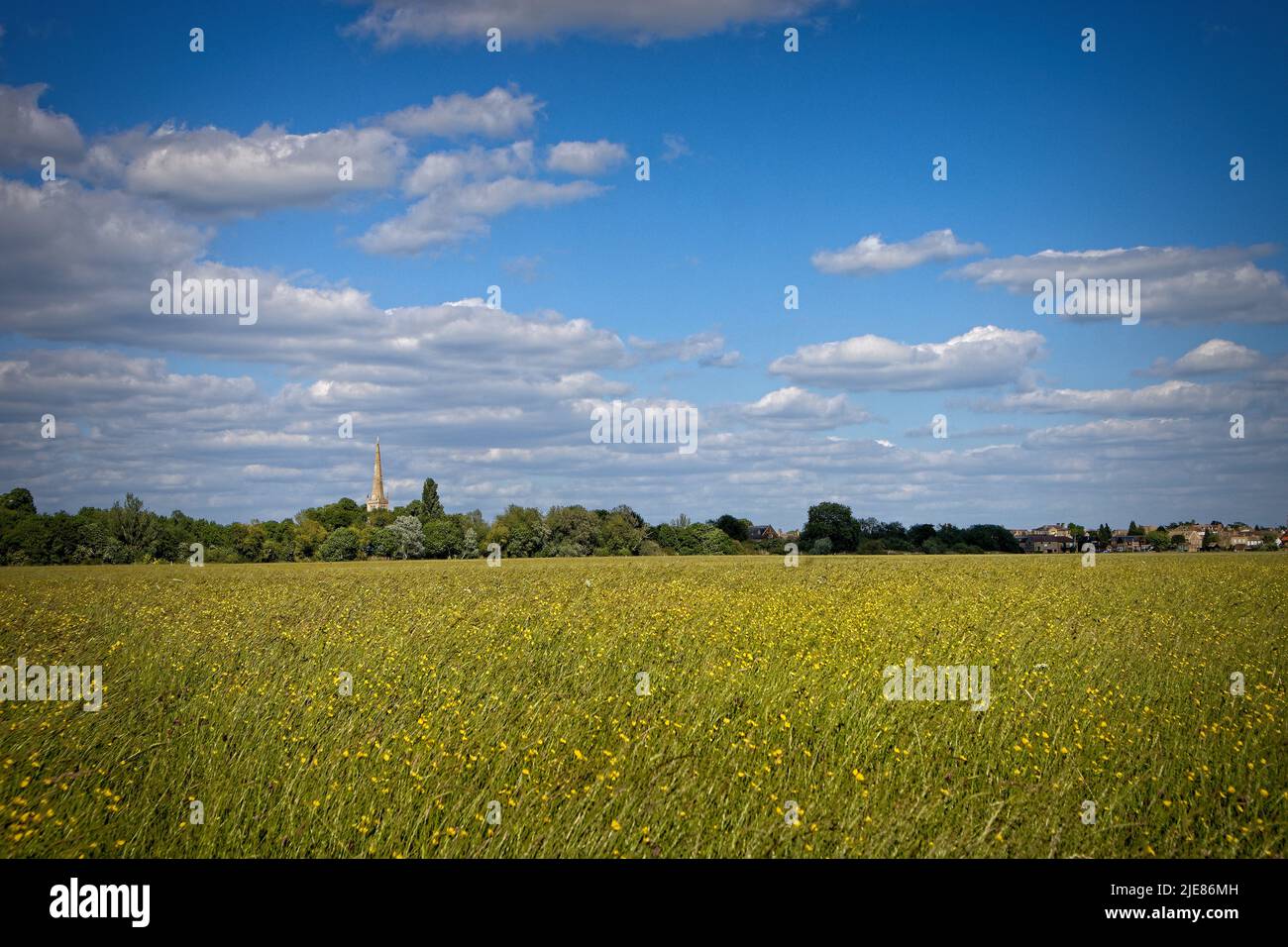 Hemmingford Meadows, Heu-/Wildblumenwiesen Stockfoto