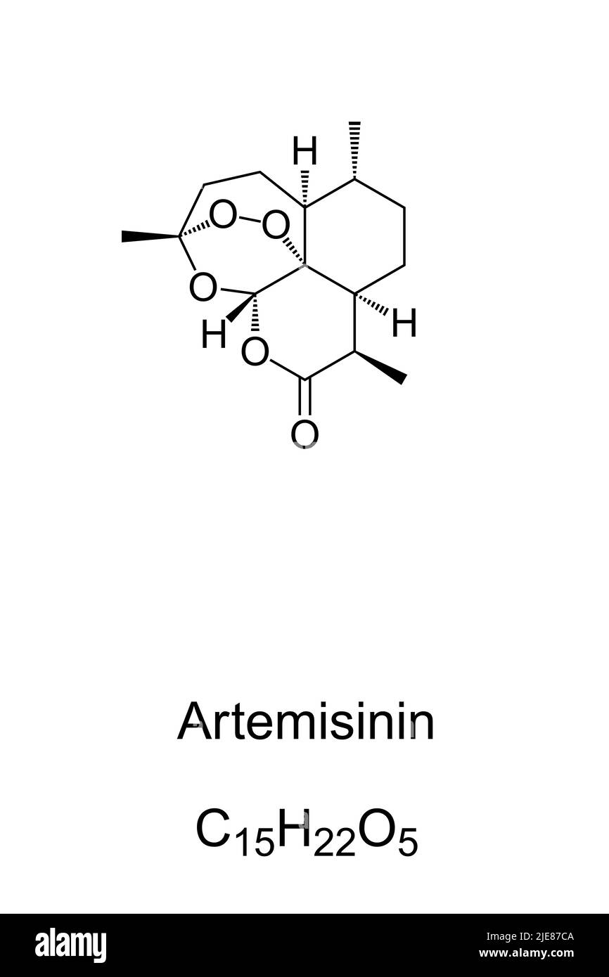 Artemisinin, chemische Formel und Struktur. Medikament, gewonnen aus süßem Wermut, Artemisia annua, ein Kraut, das in der traditionellen chinesischen Medizin verwendet wird. Stockfoto