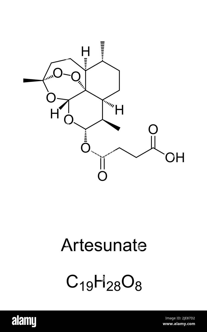 Artesunat, AS, chemische Formel und Struktur. Ein Medikament zur Behandlung von Malaria. Entwickelt aus Extrakt aus süßem Wermut, Artemisia annua. Stockfoto