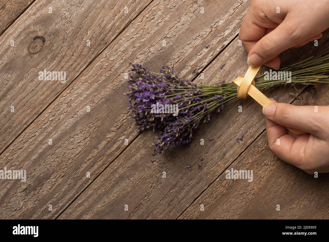 Frau bindet ein gelbes Band um einen Strauß Lavendelblüten Stockfoto