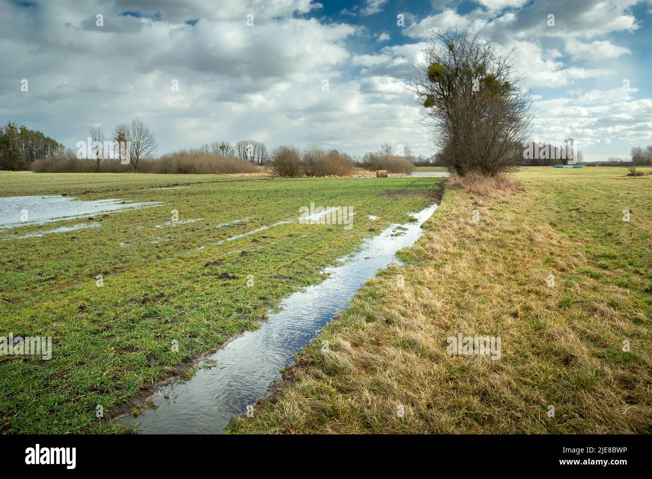 Pfützen nach Niederschlägen an der Feldgrenze, ländliche Landschaft Stockfoto