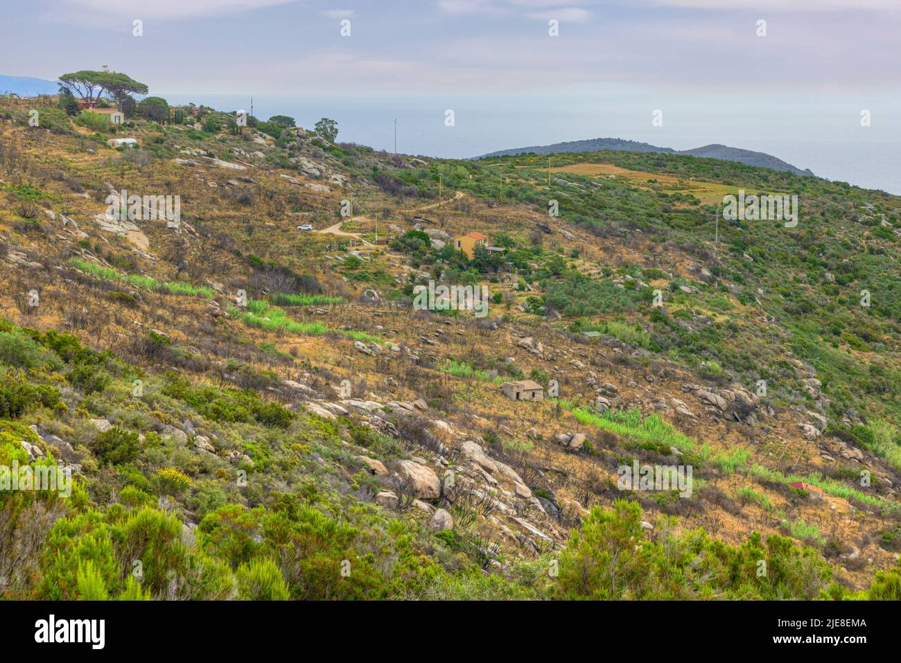 Via del Granito, San Piero, Campo nell'Elba, Elba, Toskana, Italien Stockfoto