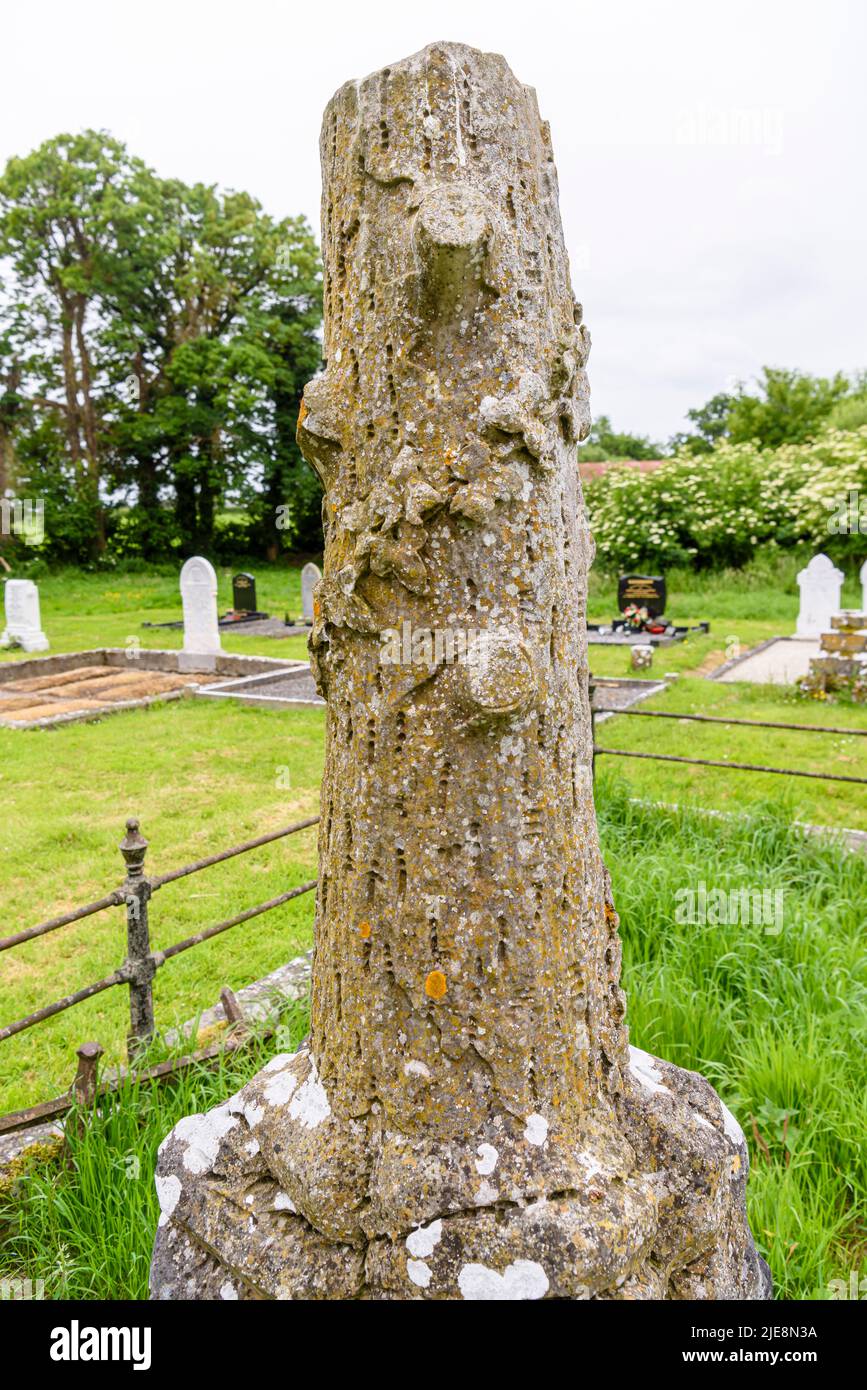 Grabstein in Form eines Baumstamms. Stockfoto