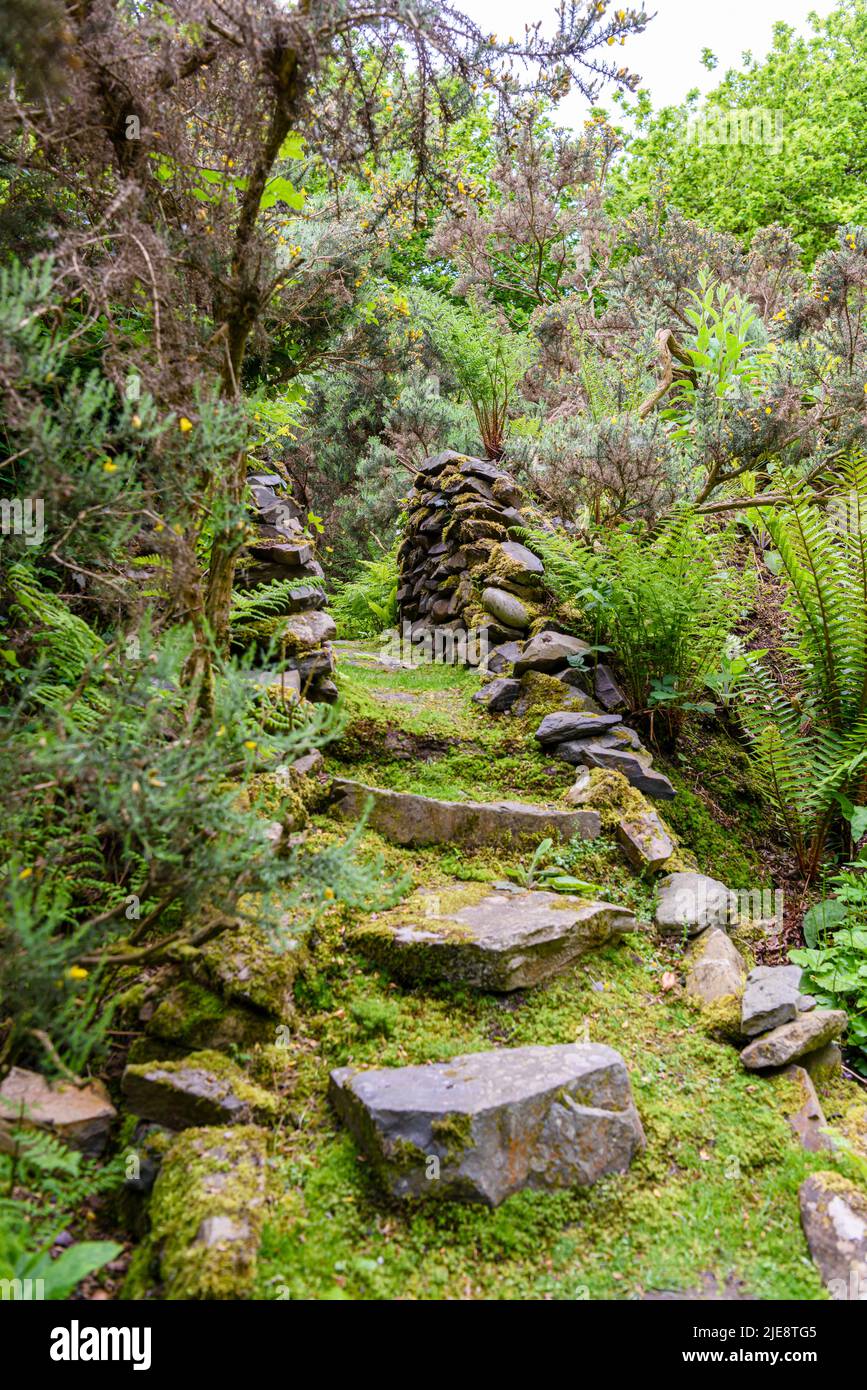 Steinweg durch einen moosbedeckten Waldgarten. Stockfoto