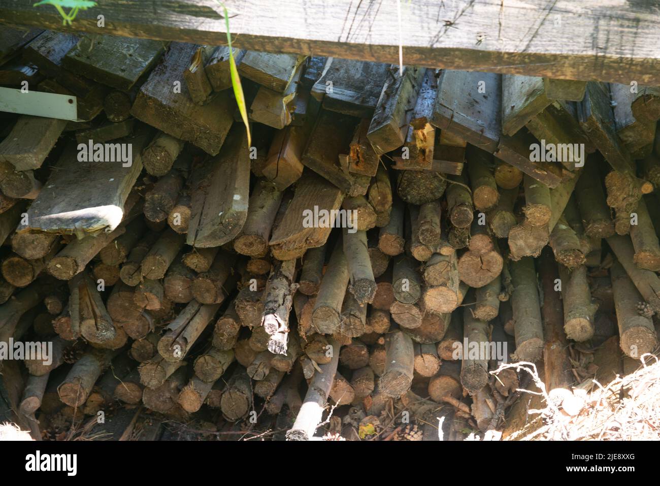 Holzzweige und Bretter in einem Stapel gestapelt. Um sie vor dem Regen zu schützen, haben sie ein Holzbrett Dach. Stockfoto