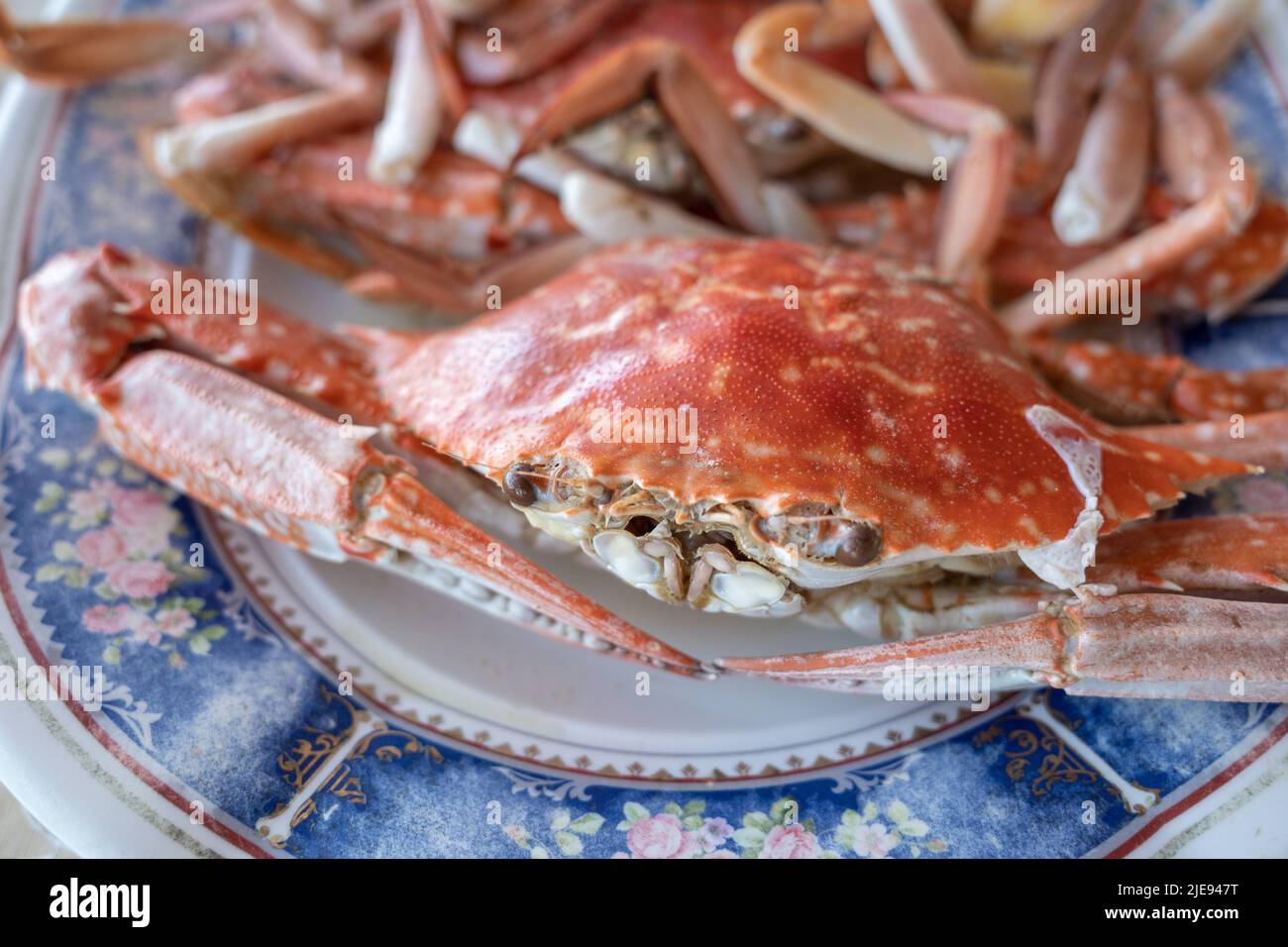 Selektiver Fokus, gekochte blaue Schwimmkrabben auf weißem Teller. Stockfoto