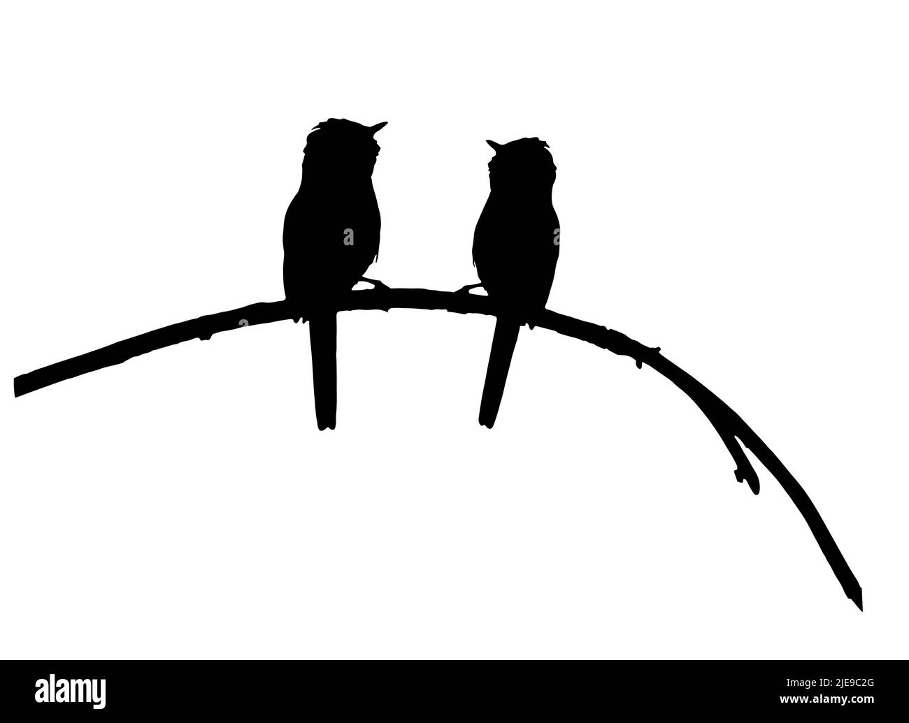 2 zwei Paar paarige Vögel auf Ast, Silhouette Stock Vektor