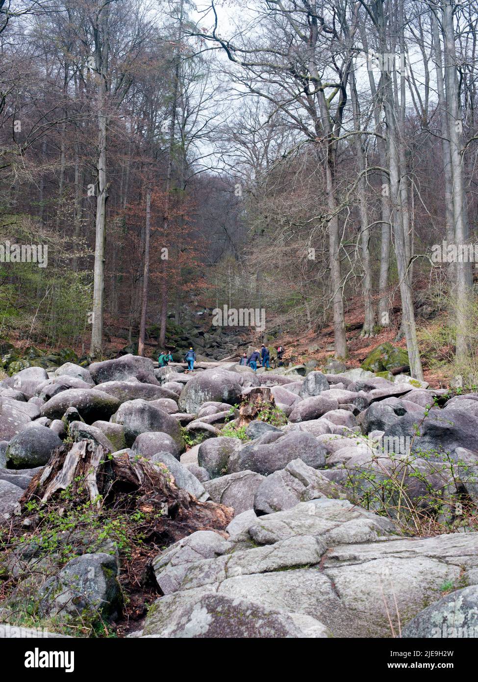 Felsenmeer in Lautertal (Odenwald/Deutschland) Stockfoto