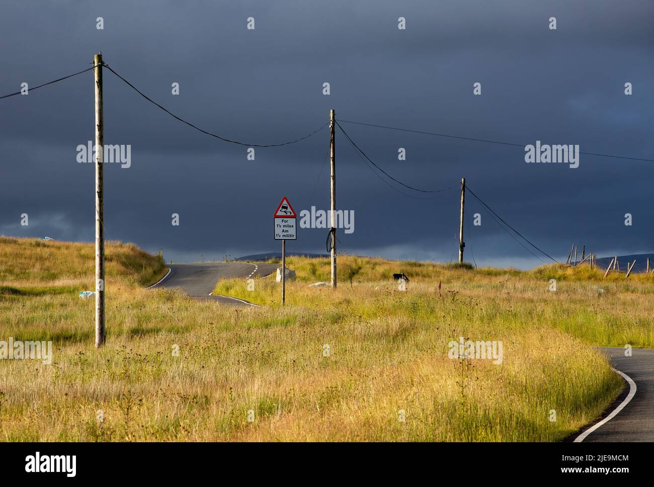 Ein zweisprachiges englisches und walisisches Straßenschild und Versorgungs- oder Telegraphenmasten auf dem Berg Gwrhyd im Swansea Valley, South Wales, Großbritannien Stockfoto