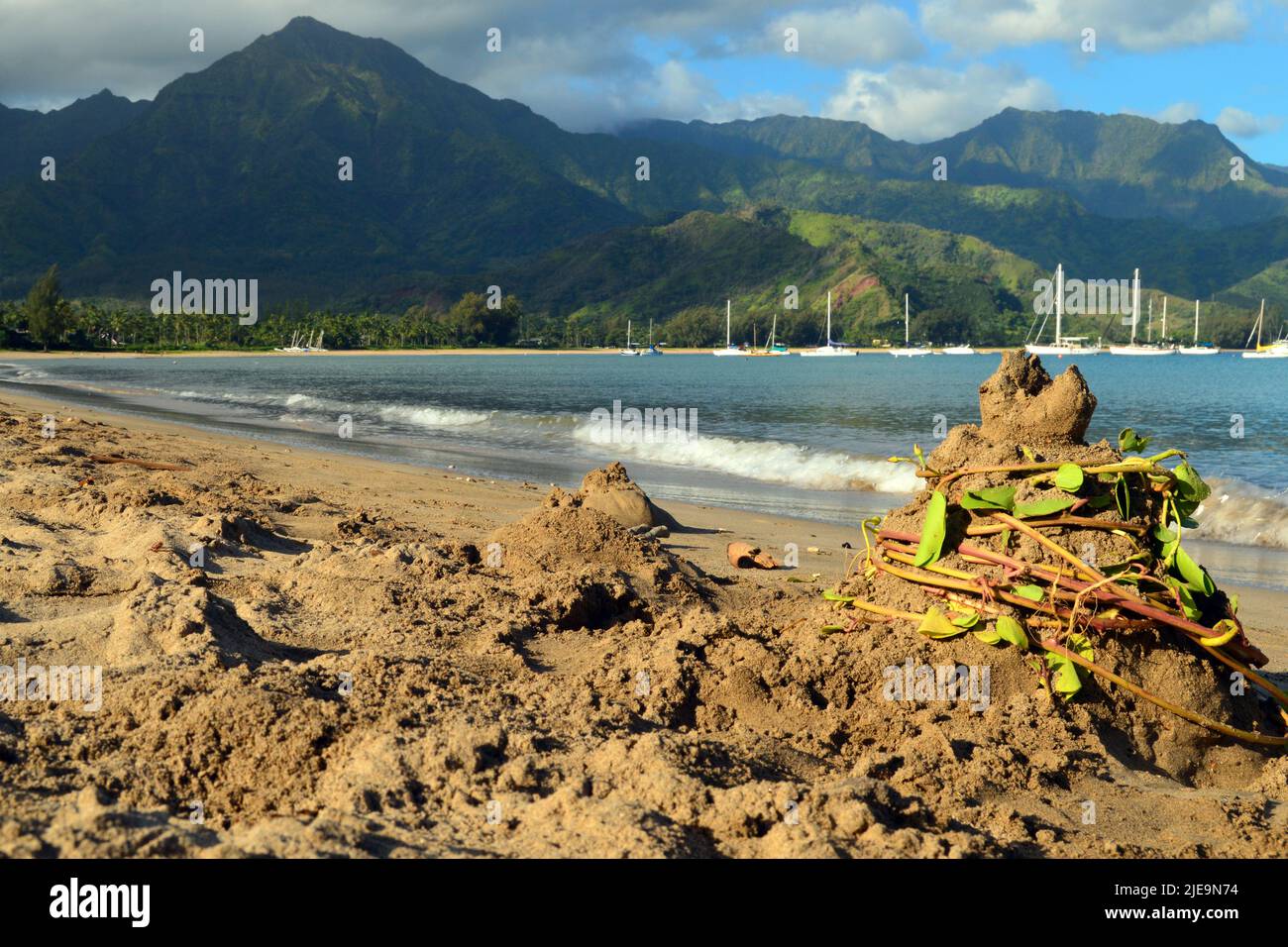 Seetang wird an den Ufern der Hanalei Bay auf Hawaii um einen Sandhaufen gewickelt Stockfoto