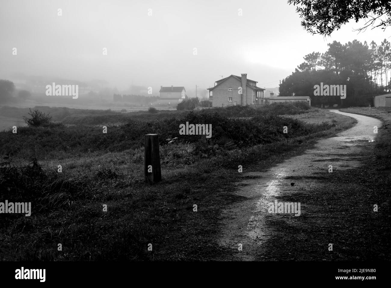 Eine Landstraße auf dem Jakobsweg, Galicien, Spanien. Schwarzweiß-Foto. Stockfoto