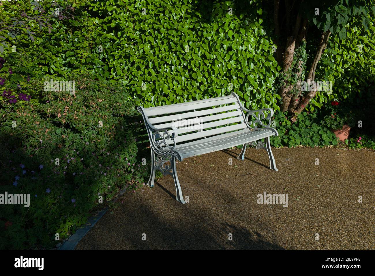 Blaue Gartenbank mit Hecke hinten und Harzpfad Stockfoto