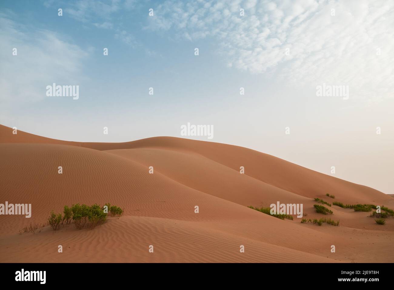 Sanddünenhügel vor einem strahlend blauen Himmel in der Al Wathbah Wüste in Abu Dhabi, Vereinigte Arabische Emirate. Magische exotische Landschaft für horizontalen Kopierraum. Stockfoto