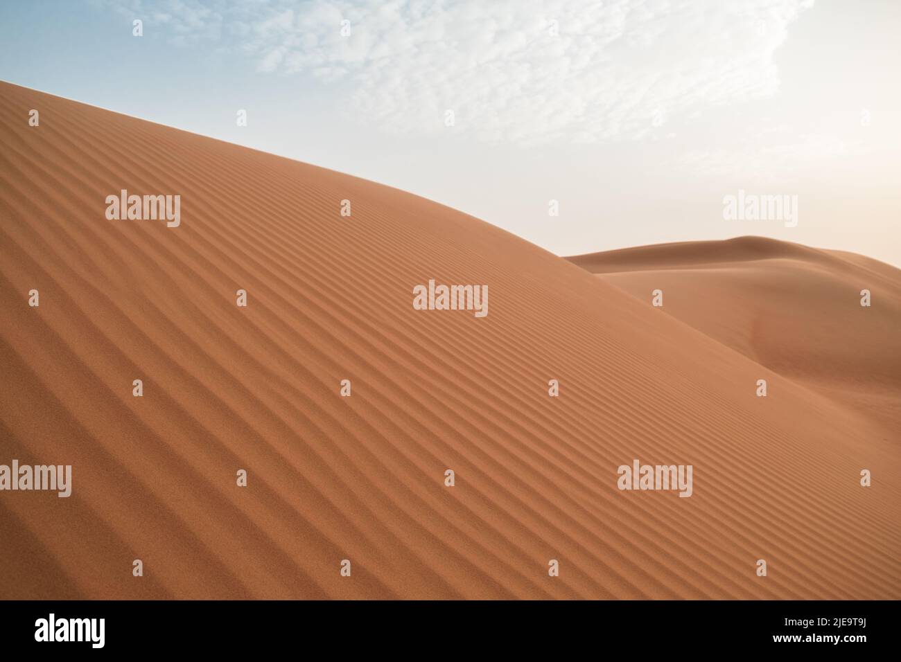 Nahaufnahme von Sanddünen von der Seite eines Wüstenhügels in Al Wathab, Abu Dhabi, Vereinigte Arabische Emirate. Exotische Landschaft für horizontalen Kopierbereich. Stockfoto