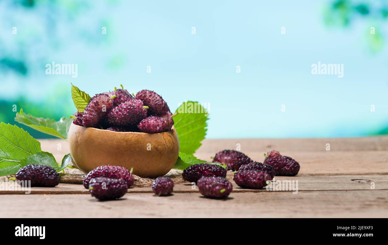 Frische schwarze Maulbeeren auf einem hölzernen Gartentisch. Süße Bio-Beeren in Holzschüssel. Sommerfrüchte. Stockfoto