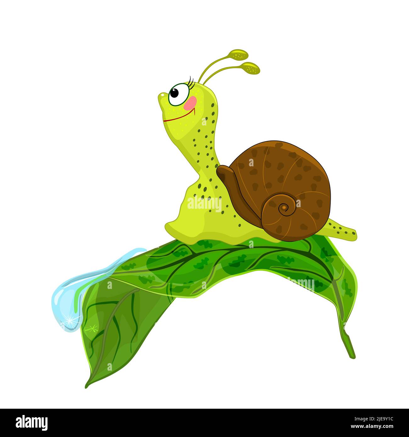 Schnecke auf Blatt. Cartoon Cochlea auf grünem Blatt mit Tau-Tropfen. Schnecke krabbelt auf Garten- oder Waldgras. Lustige Schnecke im Sommer Natur.Vektor-Illustration Stock Vektor