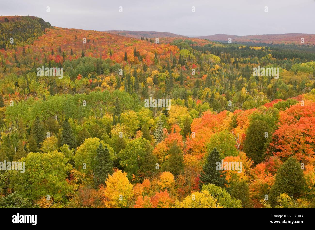 Autumn, Sawtooth Mountains, Superior National Forest, Minnesota, USA von Gary A Nelson/Dembinsky Photo Assoc Stockfoto