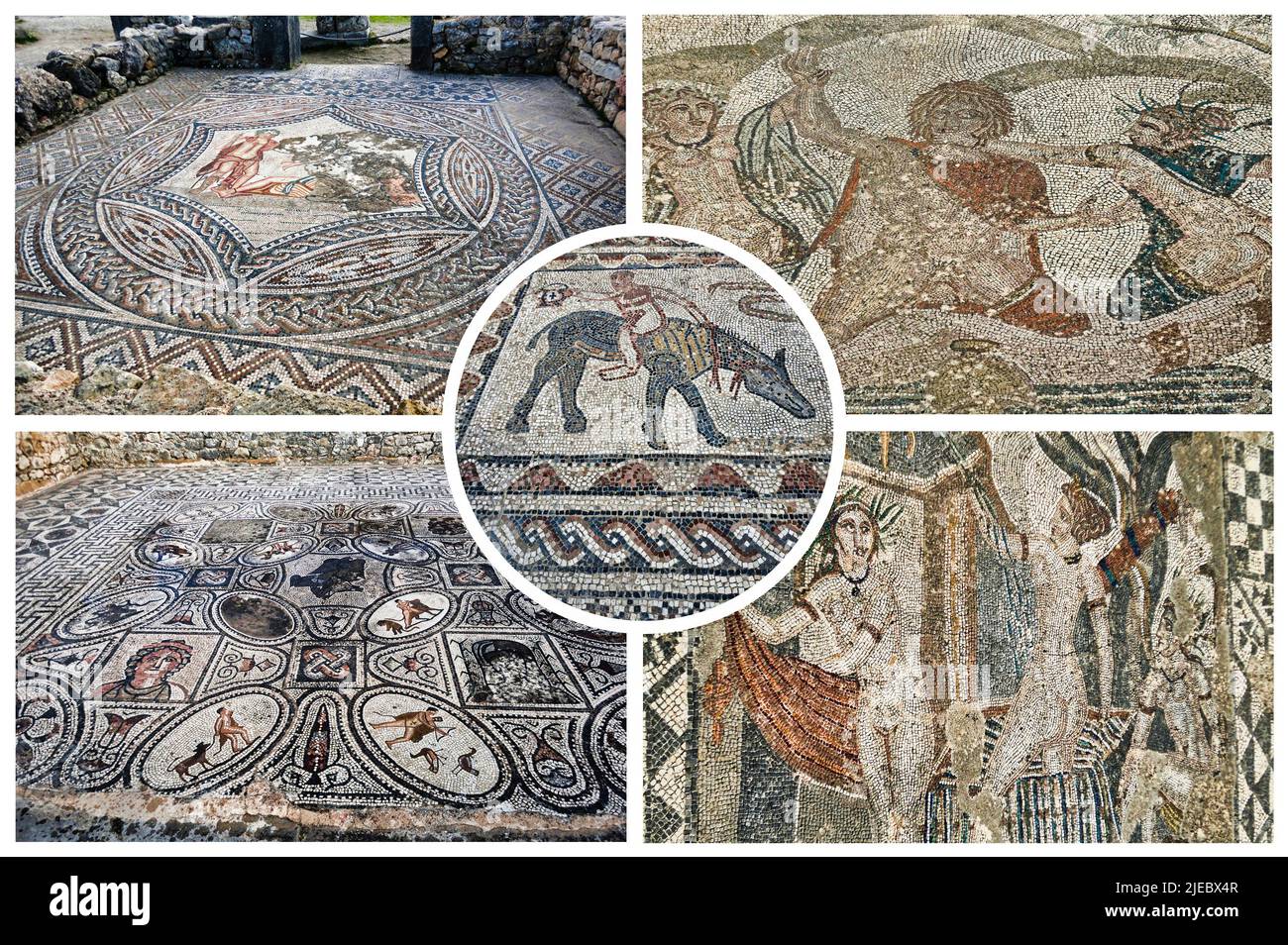 Archäologische Stätte von Volubilis, antike römische Kaiserstadt, UNESCO-Weltkulturerbe Stockfoto