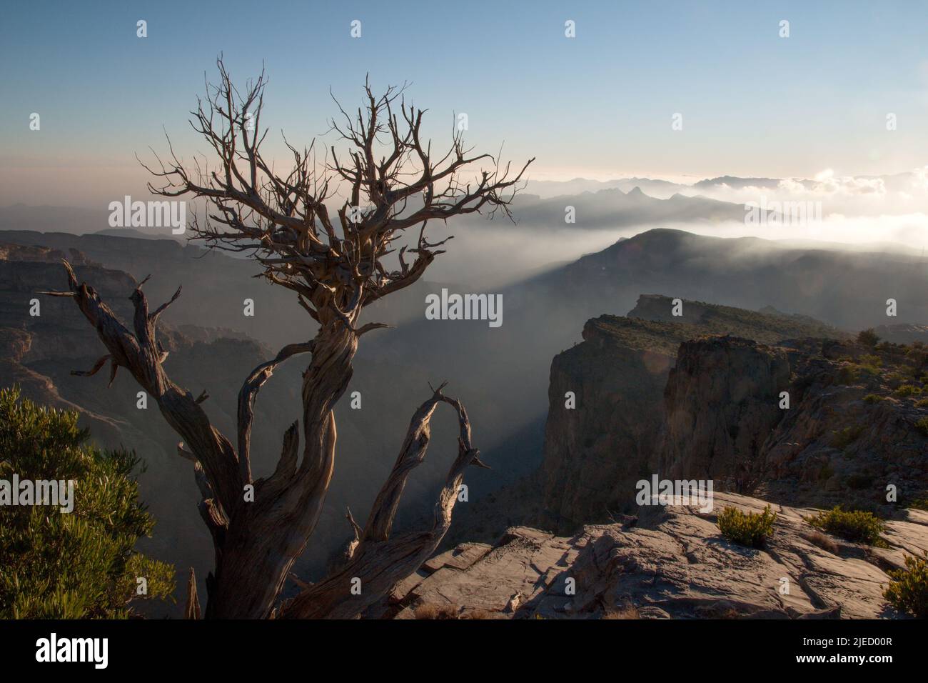 Sonnenuntergang beim Abstieg von Jebel Shams beobachten Stockfoto