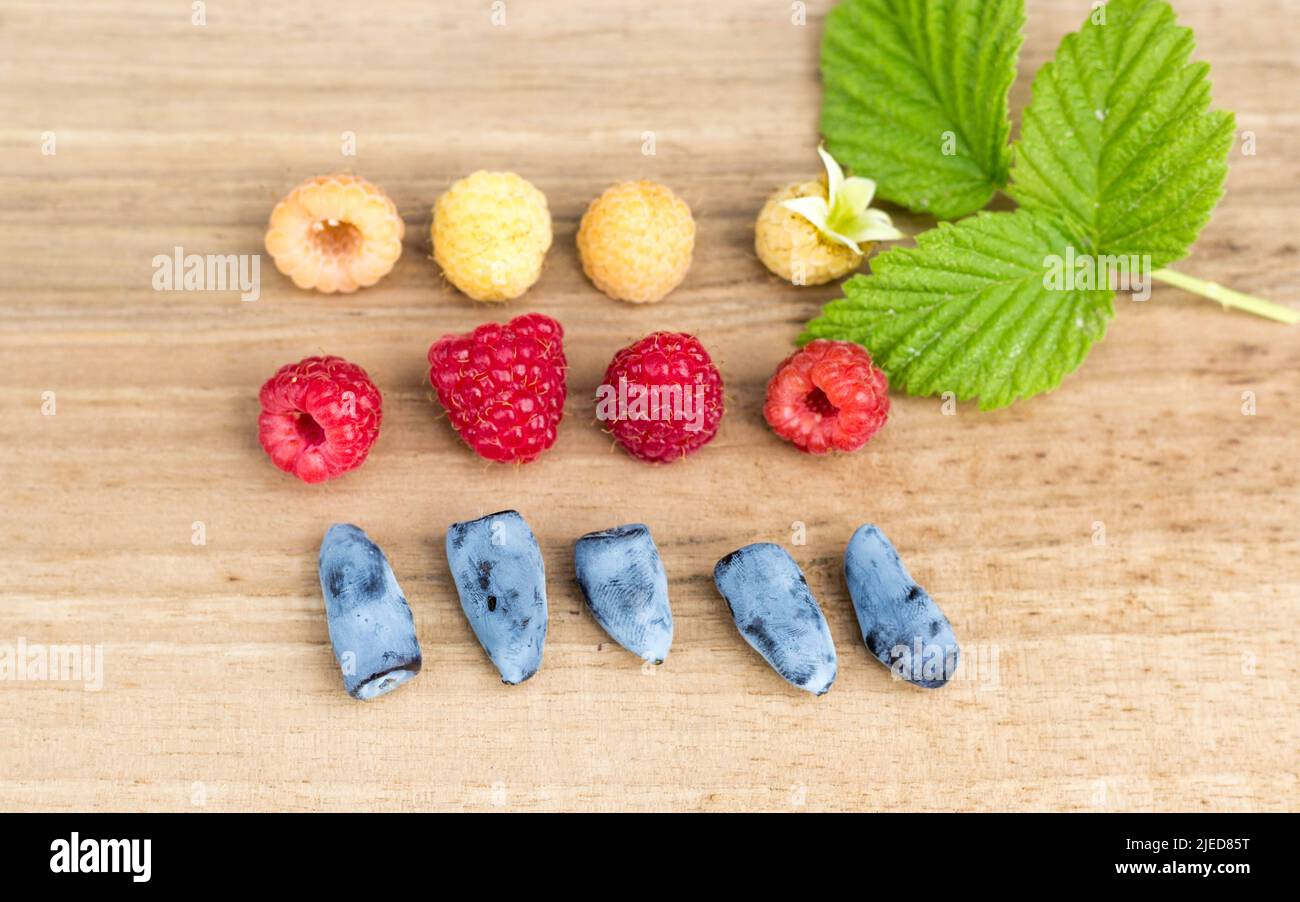 Gelbe (goldene) Himbeeren, rote Himbeeren und Honigbeeren (Lonicera caerulea var. Kamtschatica) mit Himbeerblatt zusammen auf Holzbrett. Oben vi Stockfoto
