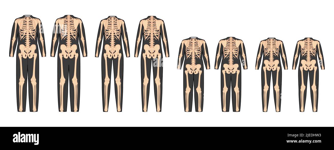 Set Skelett Kostüm menschliche Knochen für die ganze Familie Vorderansicht Männer Frauen Kinder - Junge, Mädchen für Halloween zum Bedrucken von Kleidung flach natürliche Farbe Konzept Vektor-Illustration isoliert Stock Vektor
