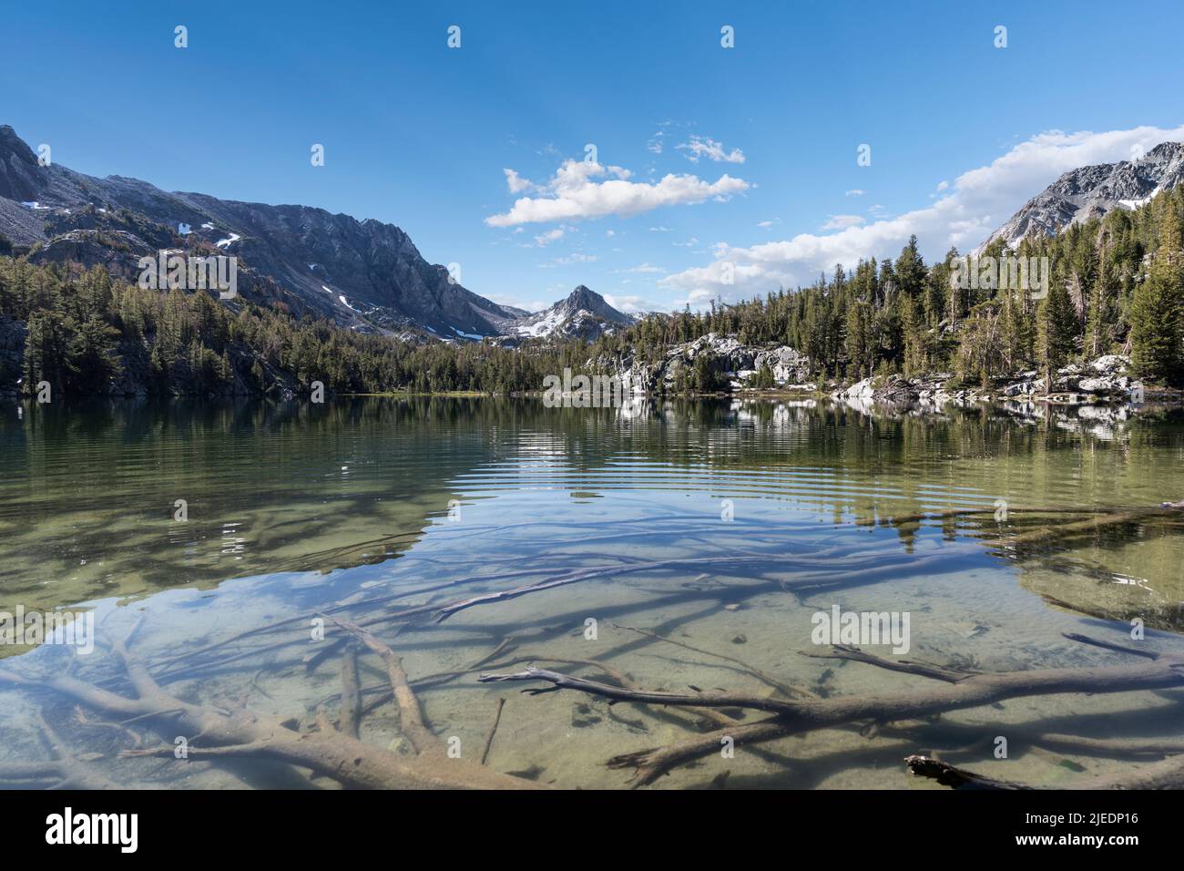 Unterwasser-Baumstämme am Skeleton Lake in der Nähe von Mammoth Lakes in den Sierra Nevada Mountains in Kalifornien. Stockfoto