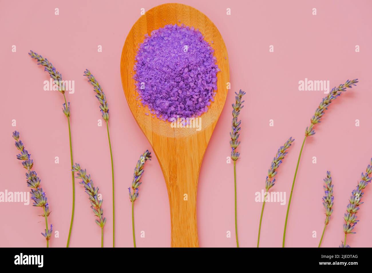 Lavendelsalz.Kosmetisches Fliedersalz mit Lavendelextrakt in Holzlöffel und Lavendelblüten auf rosa Hintergrund.Lila Badesalz.Aromatherapie und Stockfoto