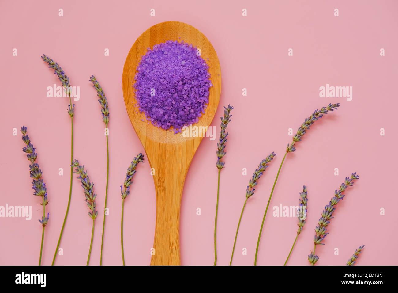 Lavendelsalz.Kosmetisches Fliedersalz mit Lavendelextrakt in Holzlöffel auf rosa Hintergrund.Lila Badesalz.Blumenbadsalz.Aromatherapie und Spa Stockfoto