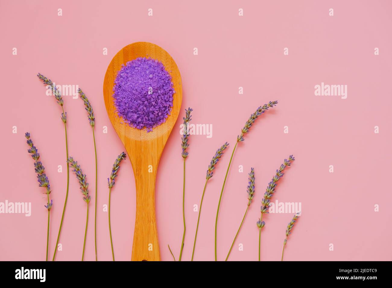 Fliedersalz mit Lavendelextrakt in Holzlöffel und Lavendelblüten auf rosa Hintergrund.Lila Badesalz.Blumenbadsalz.Aromatherapie und Spa Stockfoto