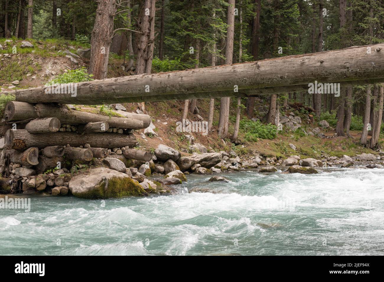Baumstammbrücke über den Panjkora-Fluss im Kumrat-Tal, Pakistan Stockfoto