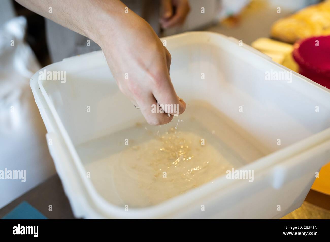 Der Prozess der Herstellung von Weizenbrot. Vor dem Kneten Hefe ins Wasser geben. Vorderansicht. Stockfoto
