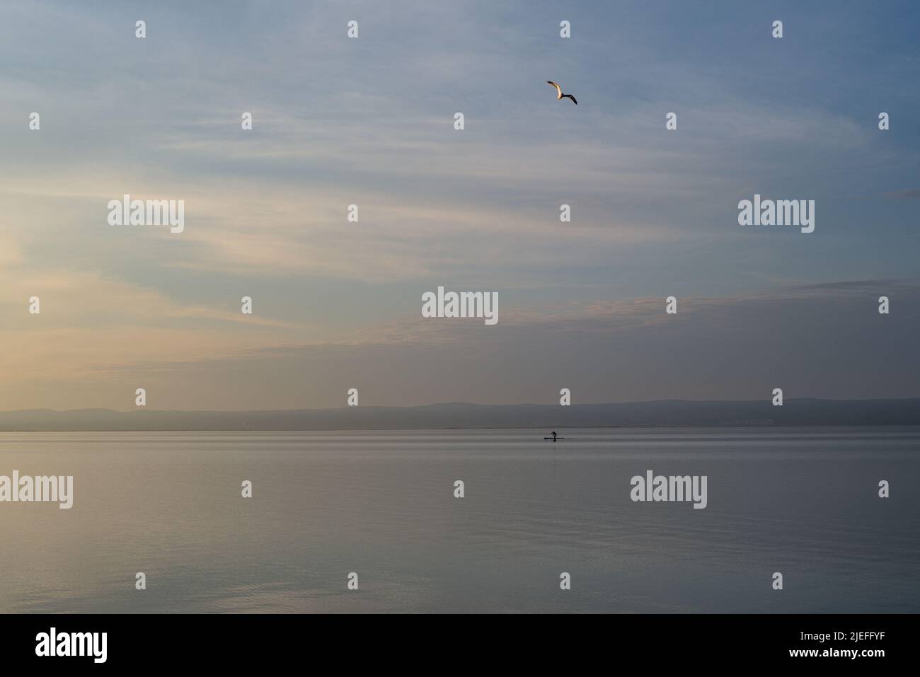 Stille am See mit Möwe und SUP Paddler 2 Stockfoto