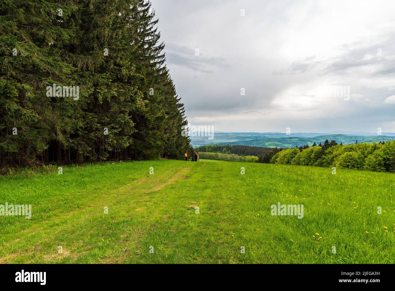 Wenige Hikres auf Bergwiese mit Hügeln auf dem Hintergrund unten Heiliger vrch-Gipfel in Galle Karpaty Berge in der Tschechischen republik Stockfoto