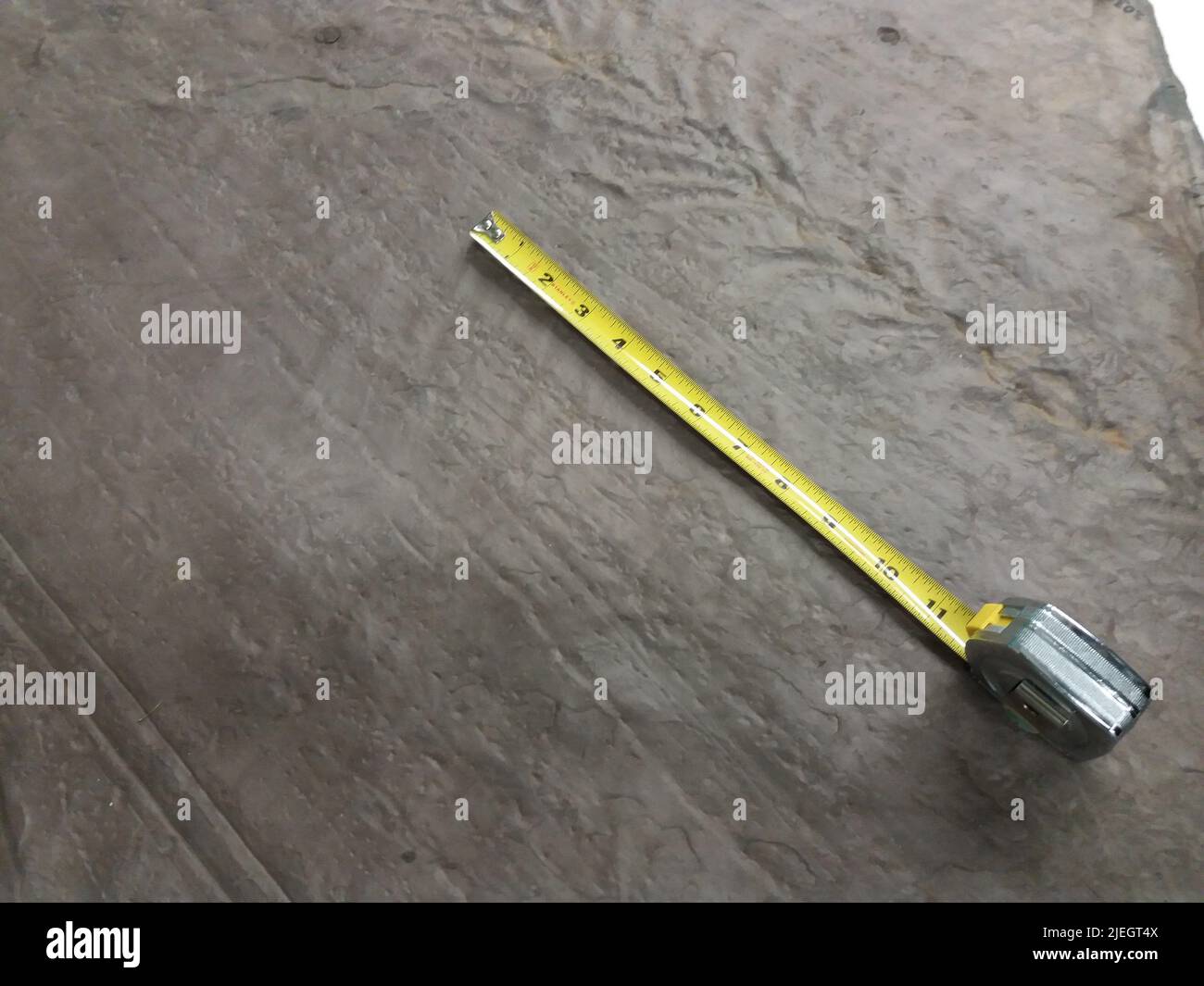 Ichnofossil. Stockfoto